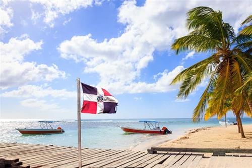 domrep2 