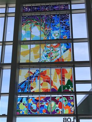 window 