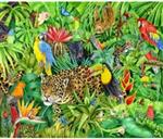 rainforest 
